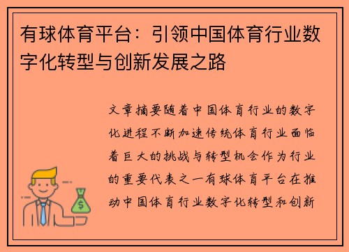 有球体育平台：引领中国体育行业数字化转型与创新发展之路